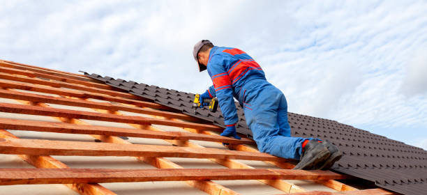 Asphalt Shingles Roofing in Brent, FL